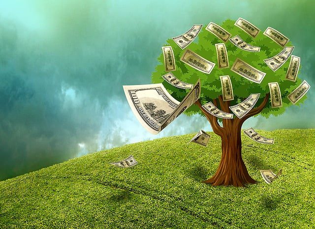 How to Maintain a Probate Property and Protect Its Value